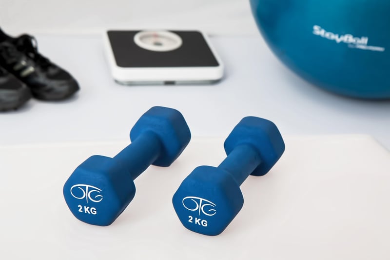 Physical Therapy Exercises